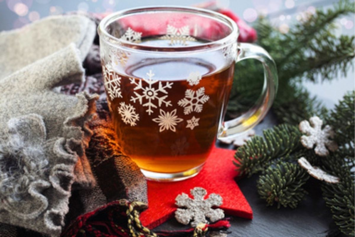 Winterwandeling Schiedam