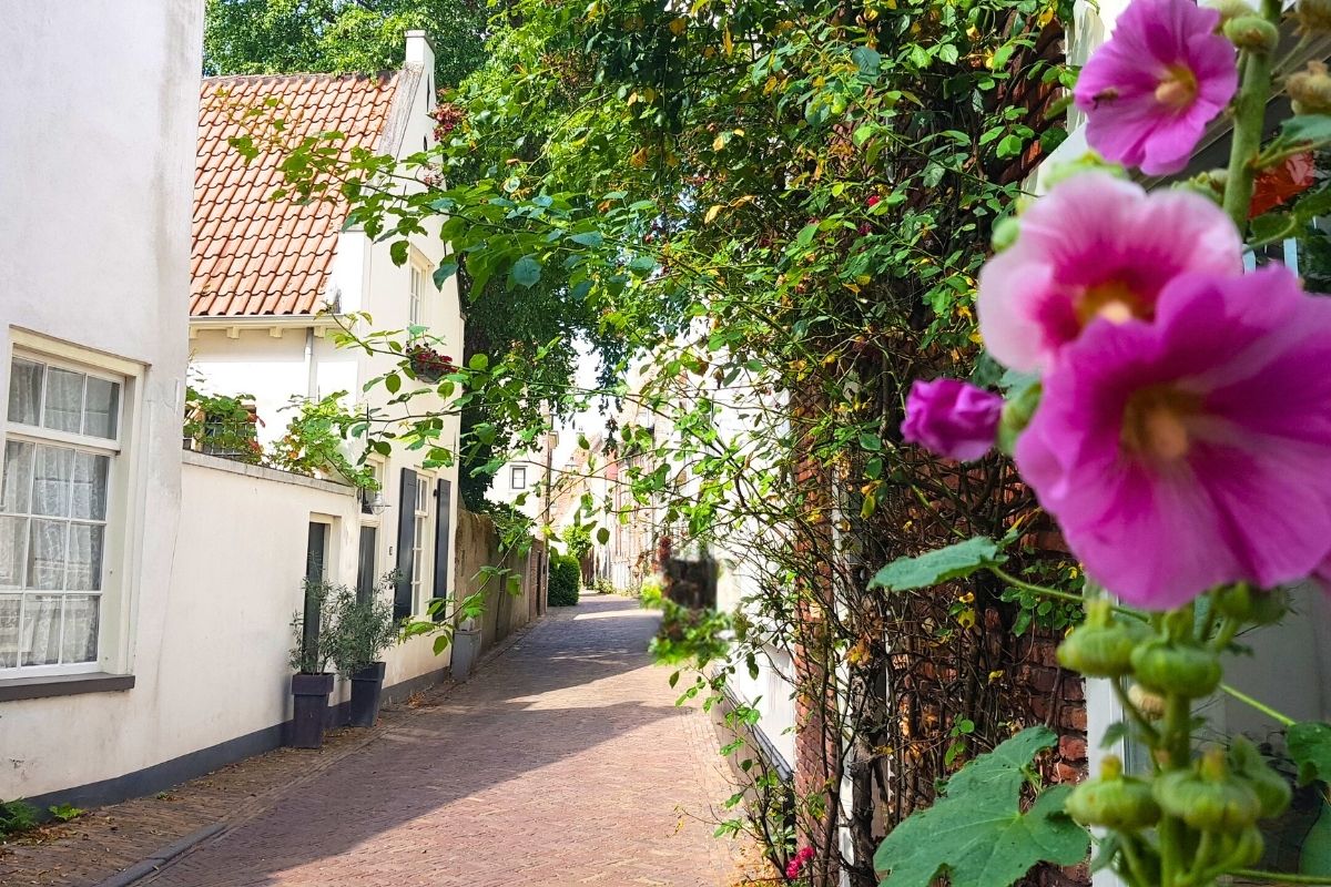 Culinaire Wandeling Amersfoort