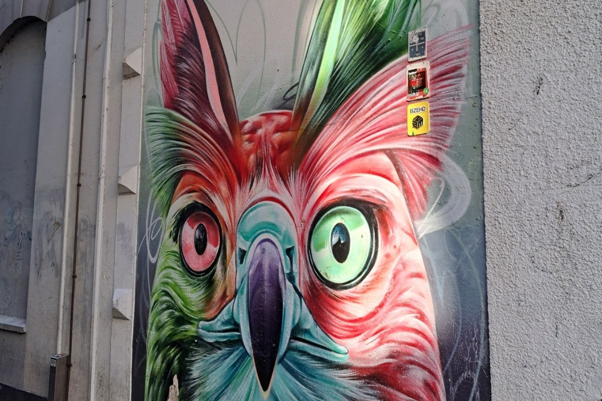 Street art wandeling Arnhem