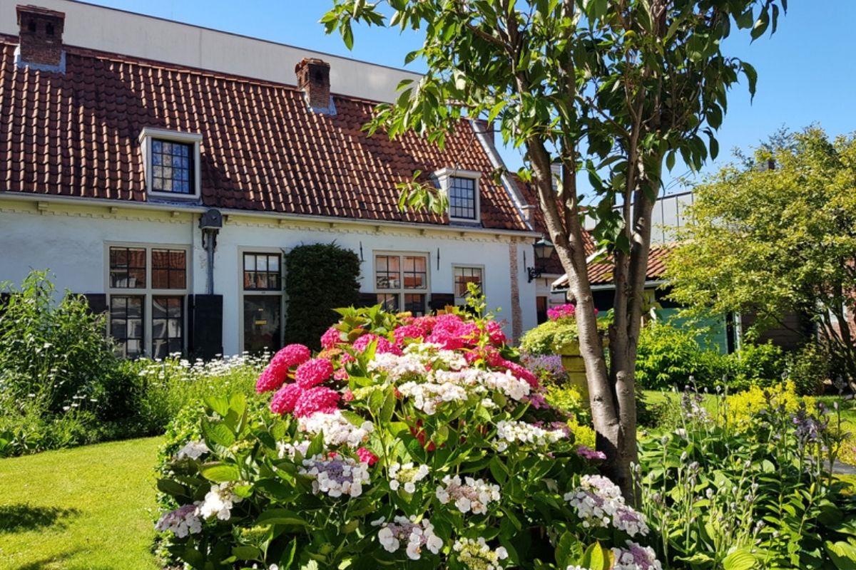 Hofjeswandeling Haarlem