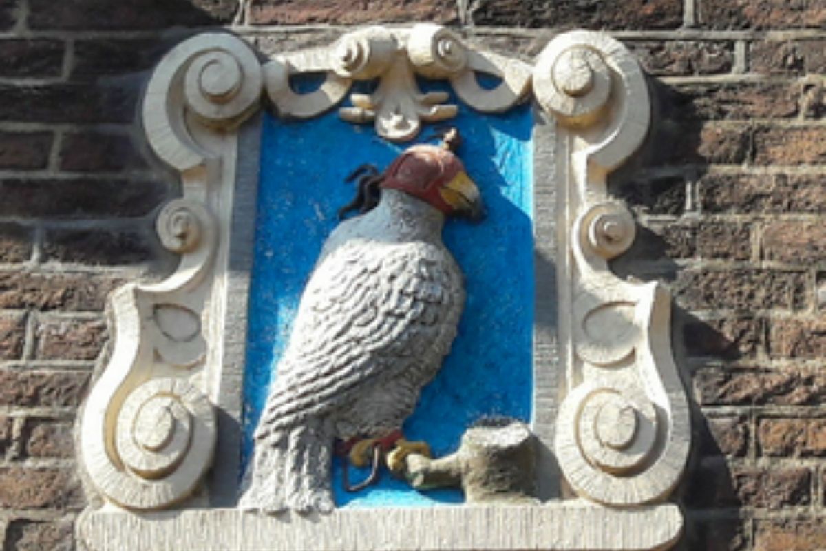 Bierwandeling Haarlem