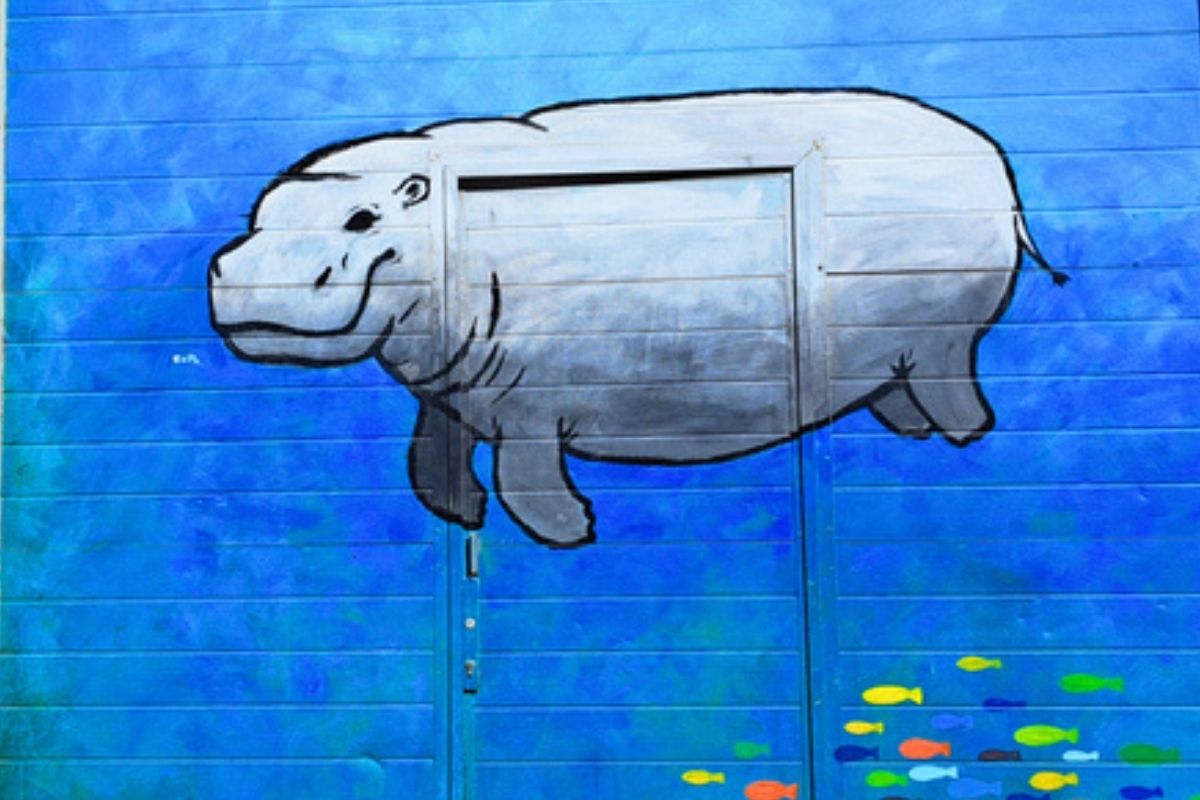 Street art wandeling Utrecht