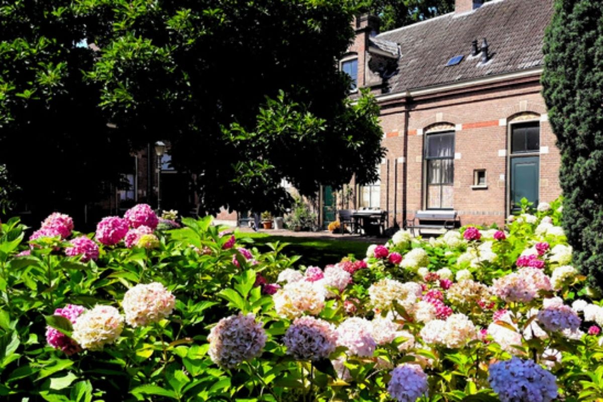 Hofjeswandeling Zutphen